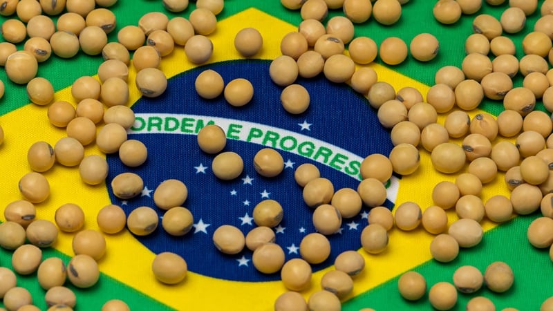 Why 2026 will be a defining year for Brazilian agriculture