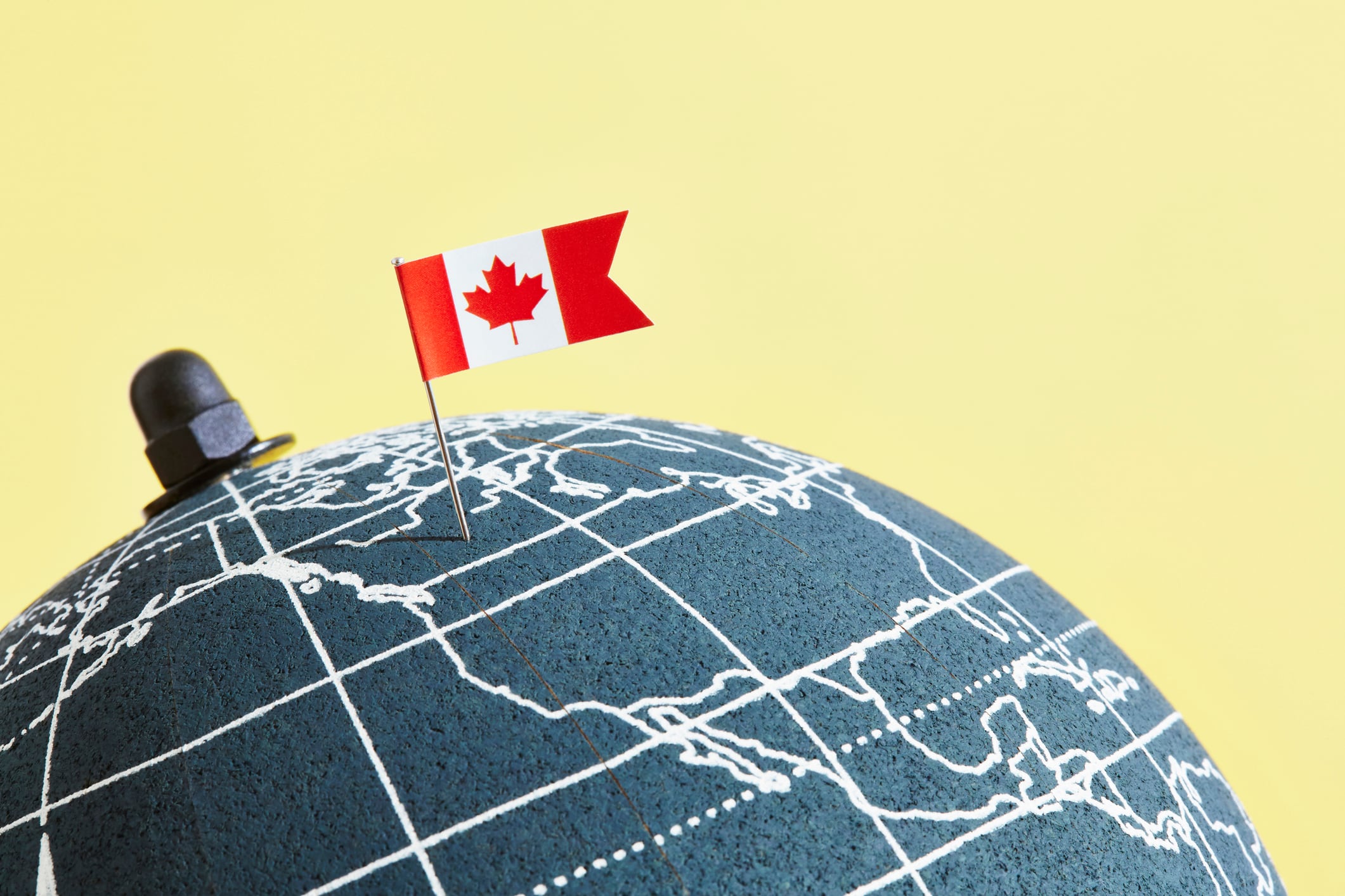 ‘Number one obstacle’: Canada wants to feed Asia but complex regulations slow market access