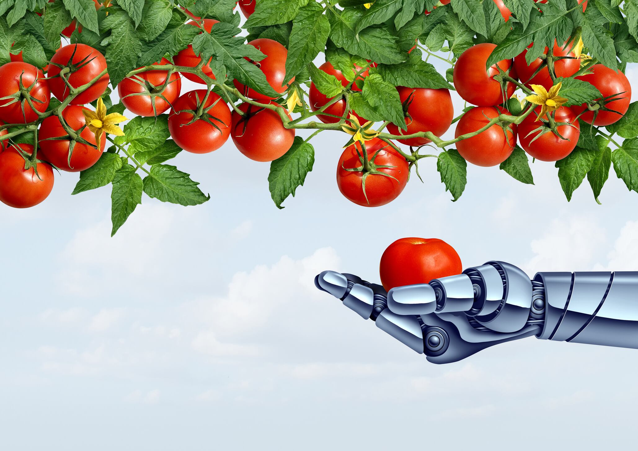 Japan-Singapore MOU: Targeting climate-resilient food supplies