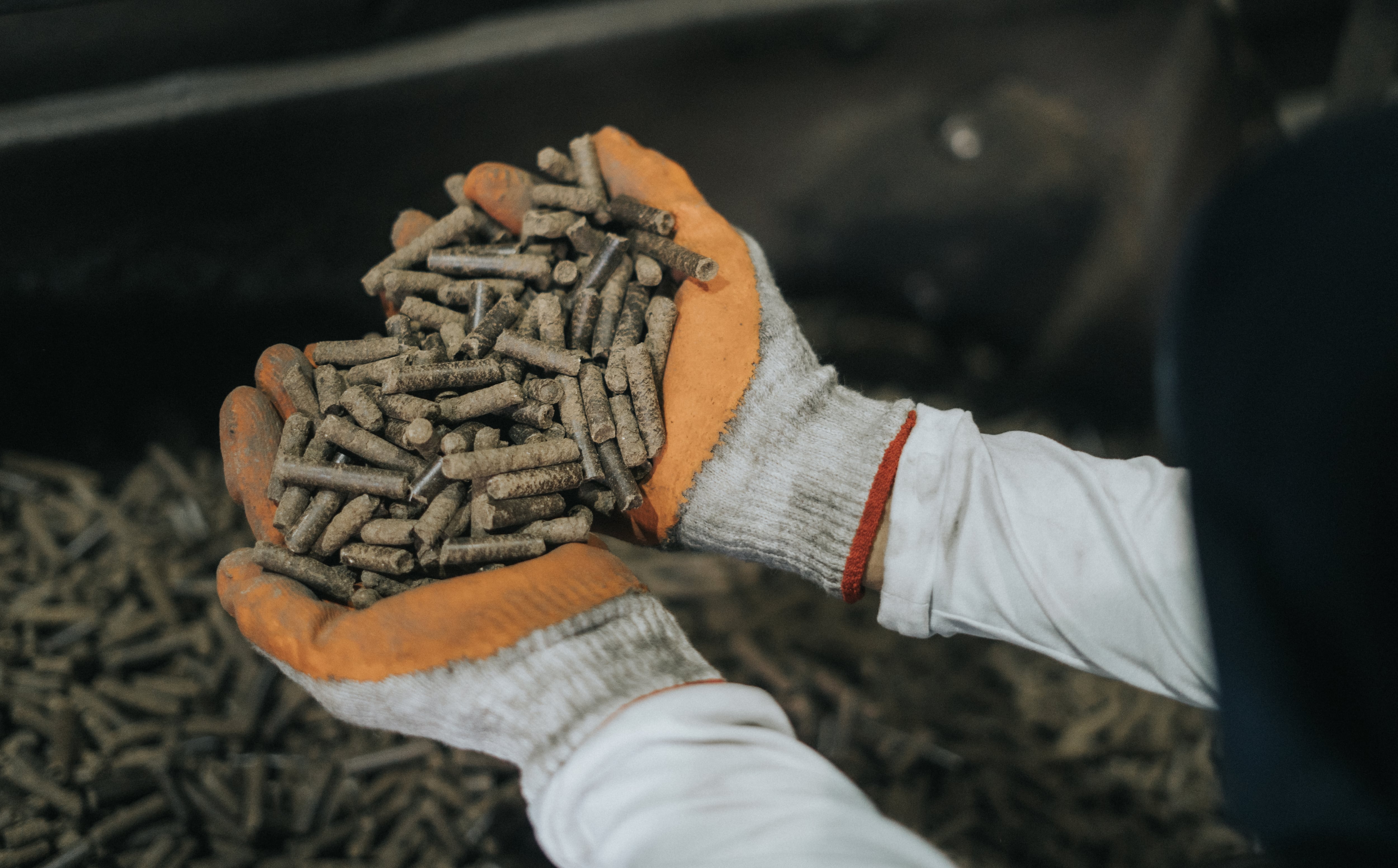 Scaling new heights: Verta Bioenergy sets sights on new markets after achieving strong commercial traction