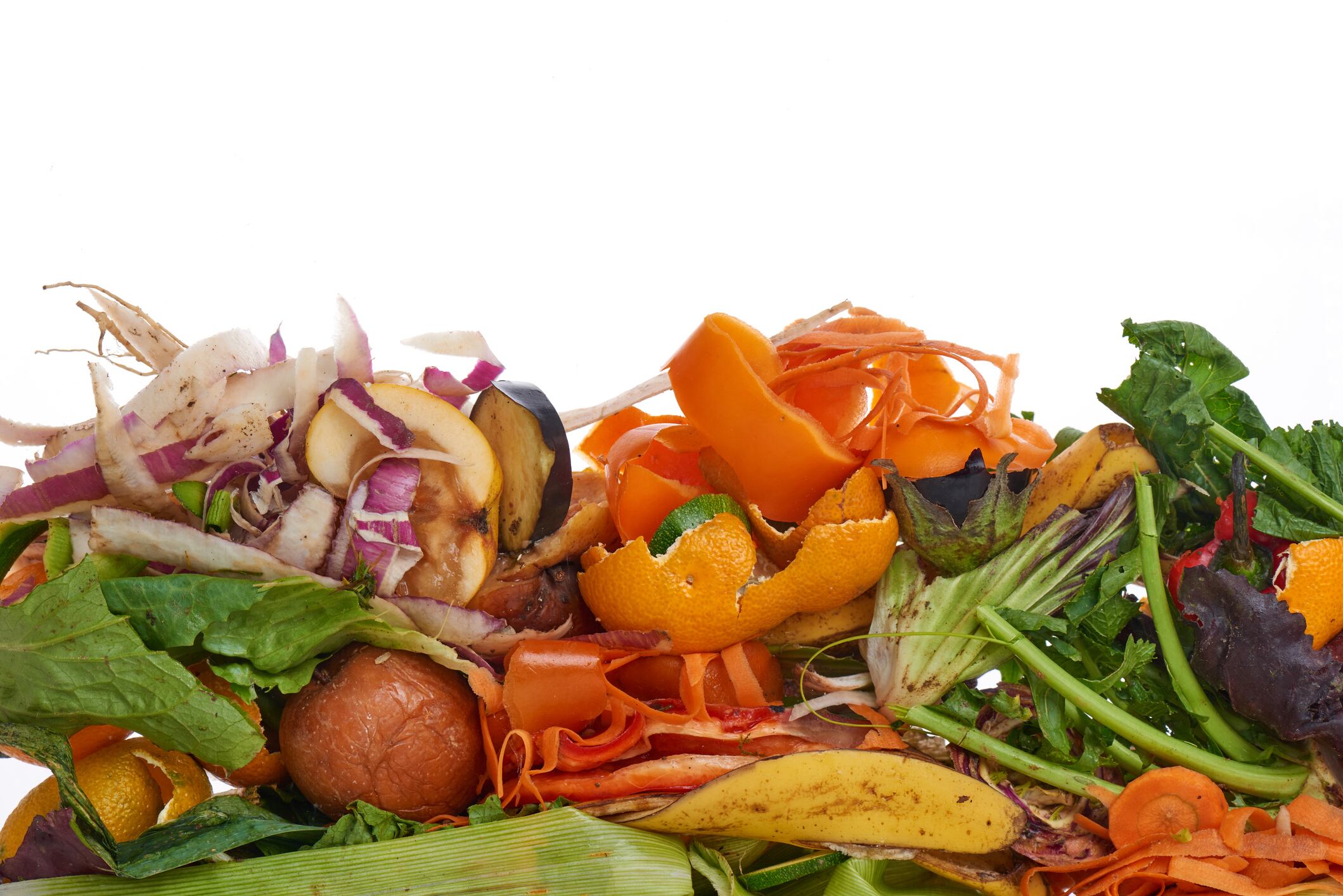 Food Waste. Compostable Food Scraps