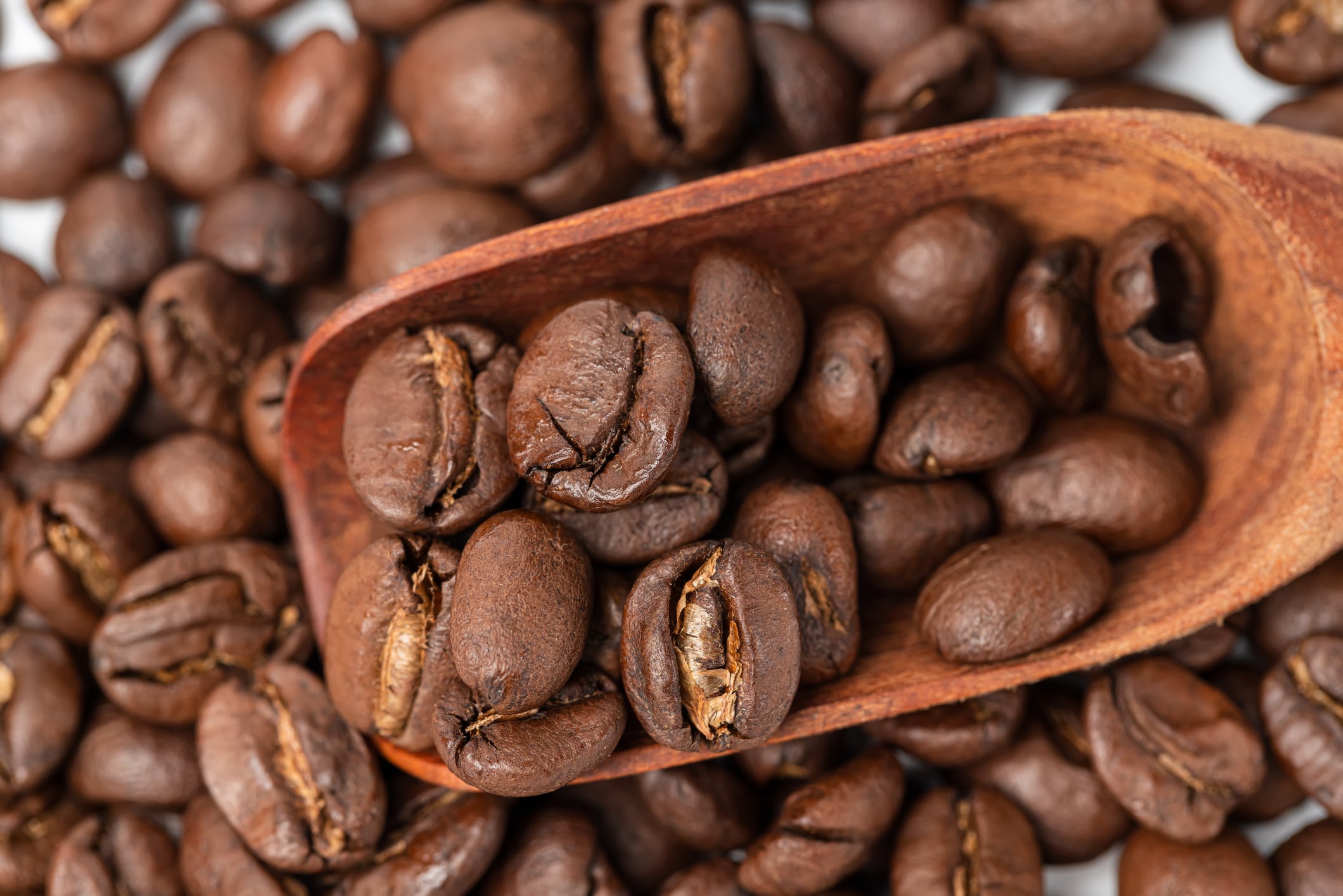 Brewed for success: Vietnam’s push for traceability in coffee drives export surge to Europe