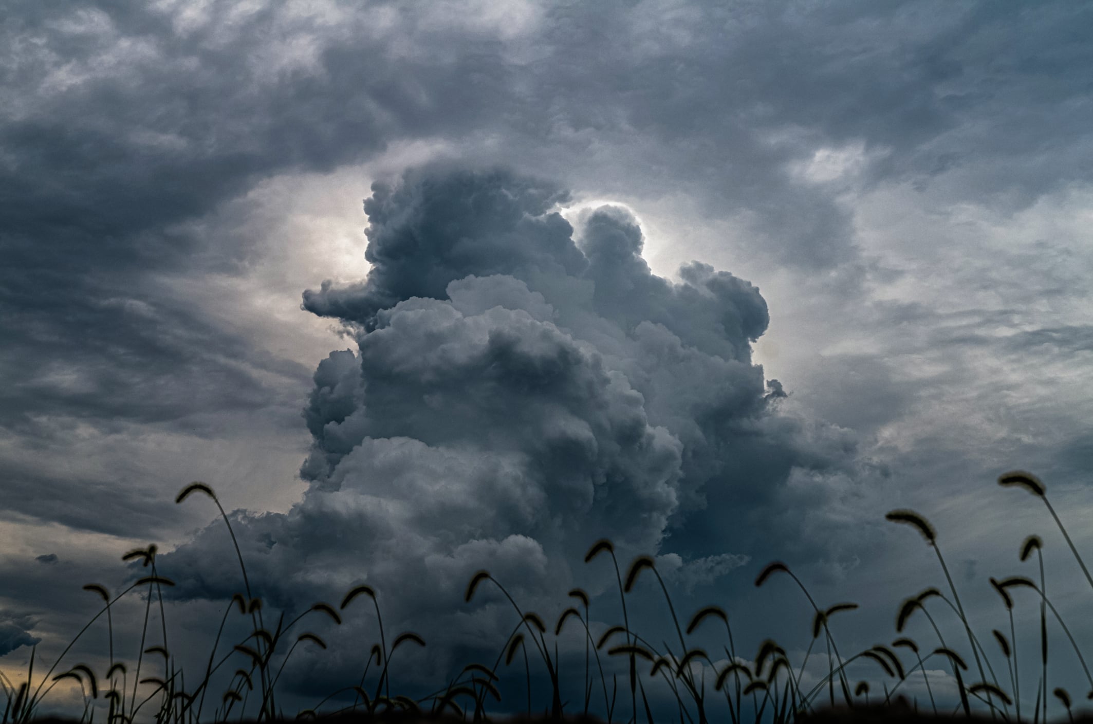 El Niño alone is unlikely to spark a repeat of the fertiliser shock that rattled global agriculture in 2022. But analysts warn it could inject fresh volatility into fertiliser markets.