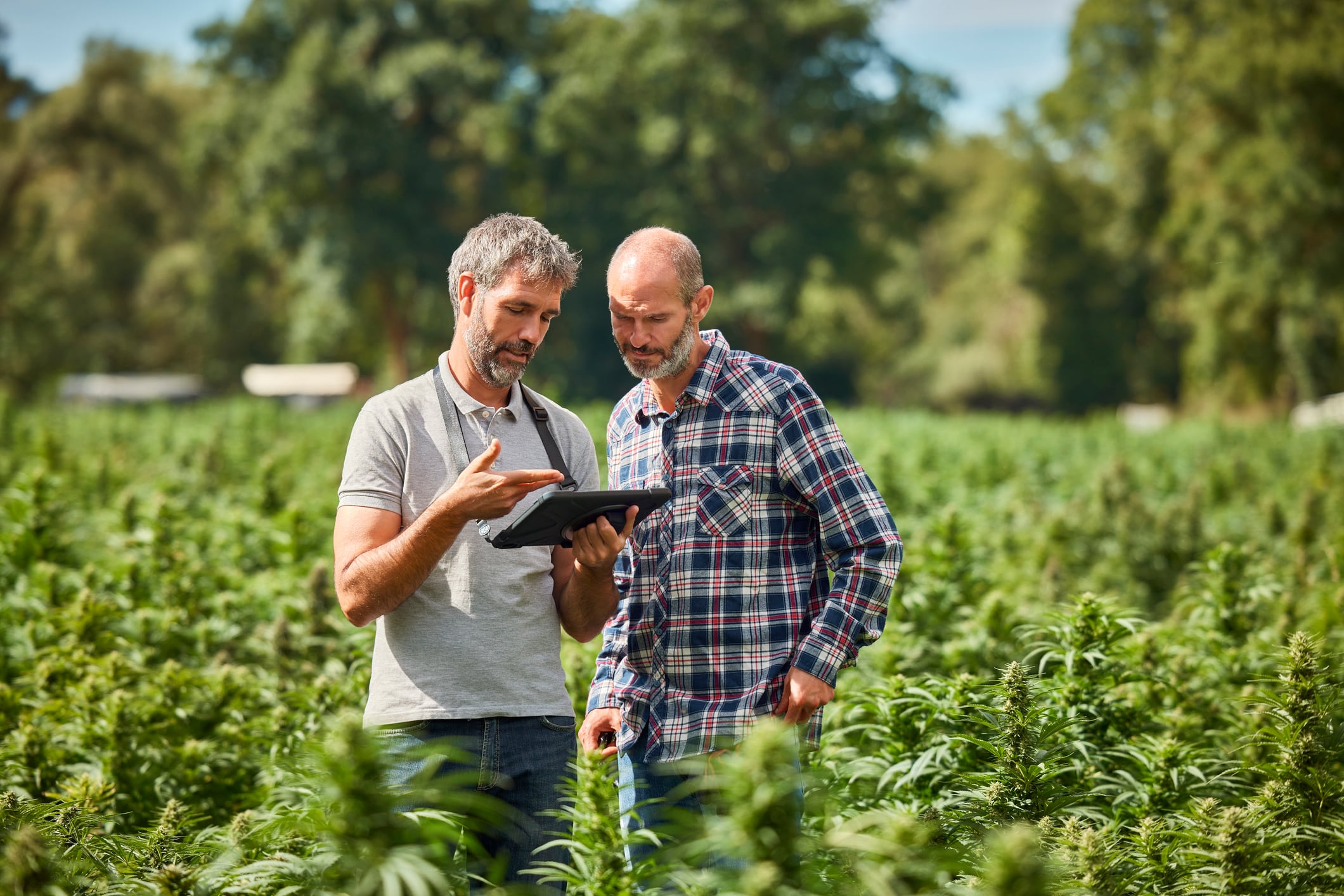 What role can biosolids play in supporting regen ag, hemp production?
