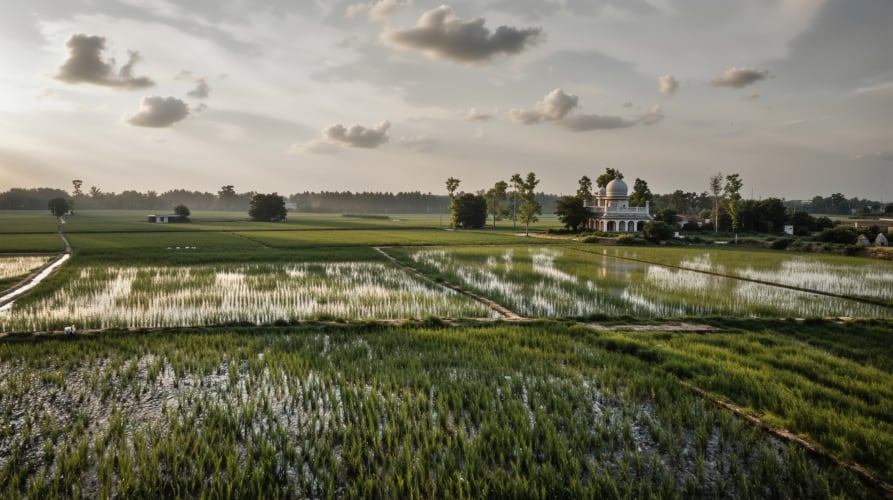 Tilda says reducing the environmental footprint of basmati production has become a key priority, prompting it to significantly expand its sustainable farming programme across northern India.