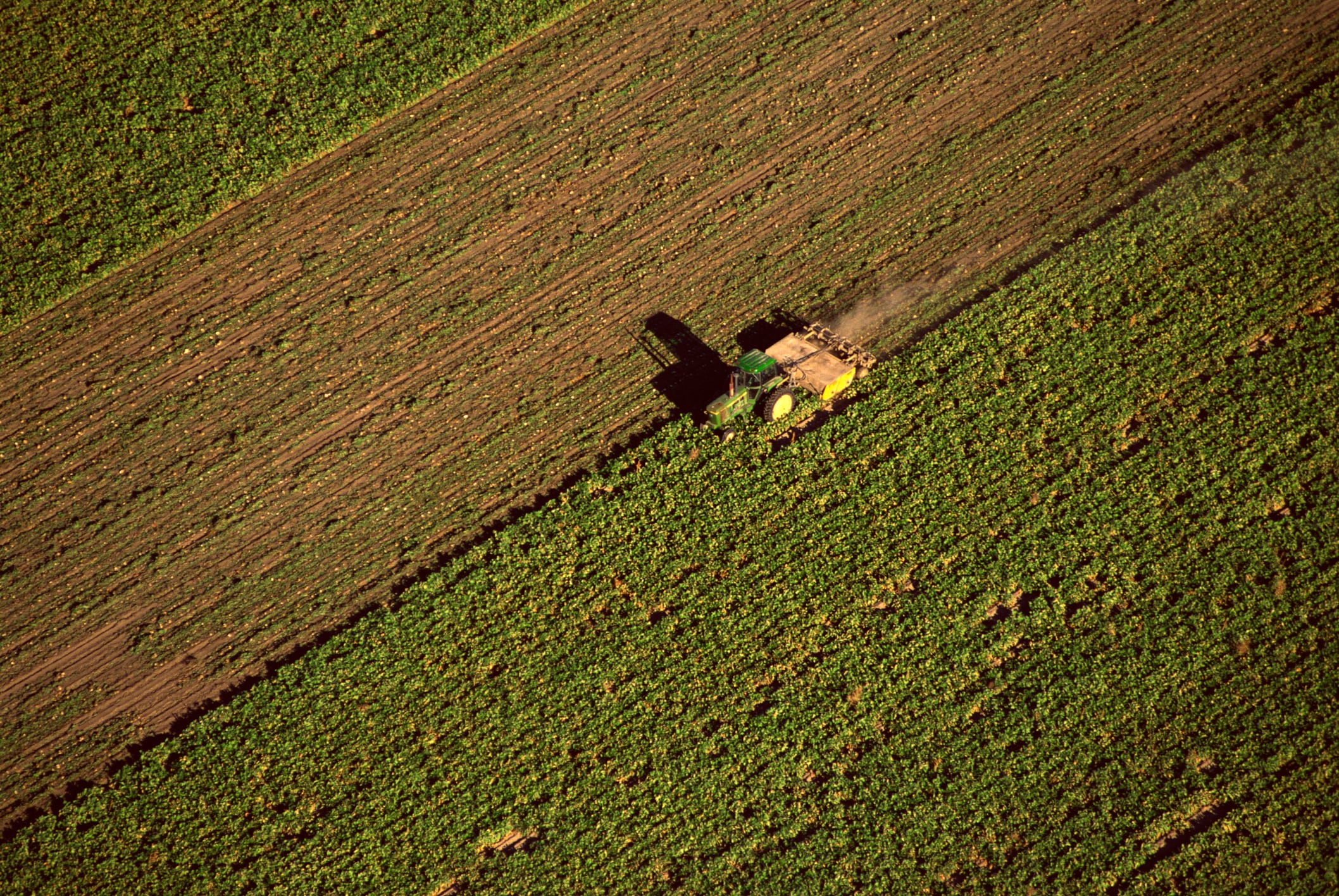 MyEasyFarm launches €1.6m ‘MyEasyAI’ project to fast‑track low‑carbon sugar beet farming