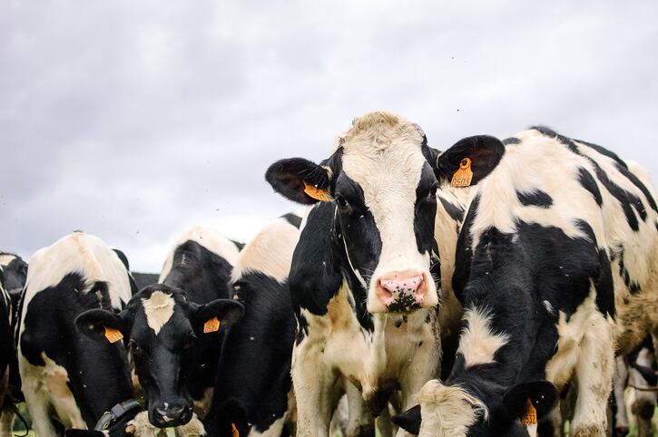 Minimizing methane emissions 