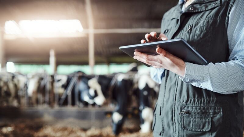 Improving livestock management with AI: Ever.Ag expands agentic feature Everett