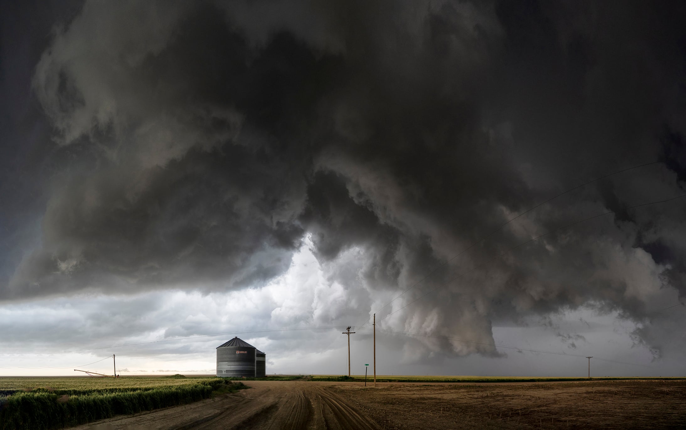 Too risky for VC? Why Azolla Ventures is betting on climate tech others won’t touch