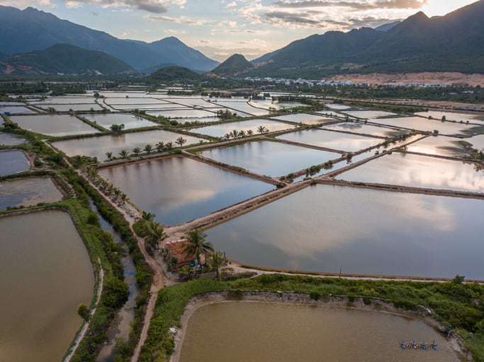 Global aquaculture market prospects: Cooling demand and persistently high costs