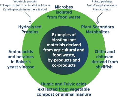 Biostimulants-from-by-product-unbranded-2.jpg