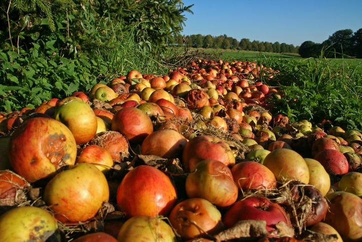 Global ag majors unite to halve on-farm food losses by 2030