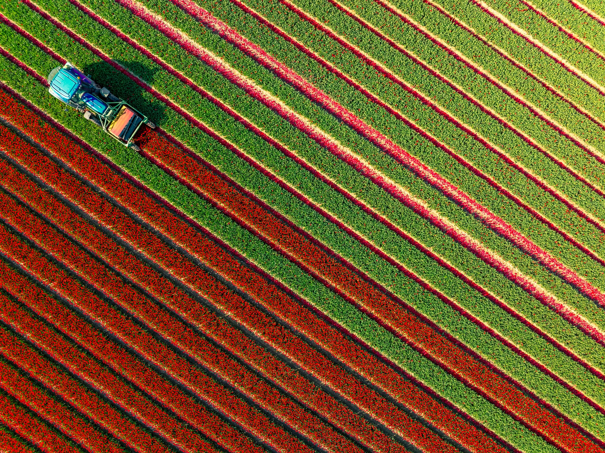 Why first‑mile visibility is fast becoming a non‑negotiable for global commodity supply chains
