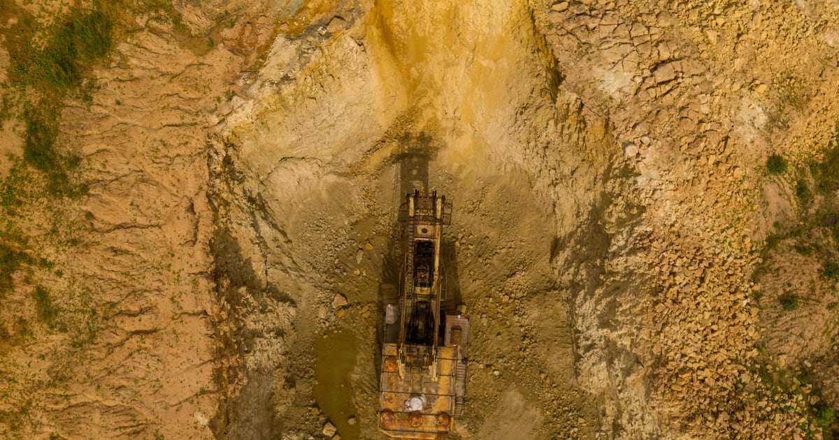 From war zones to mine sites: The start-up using plants to clean toxic soils