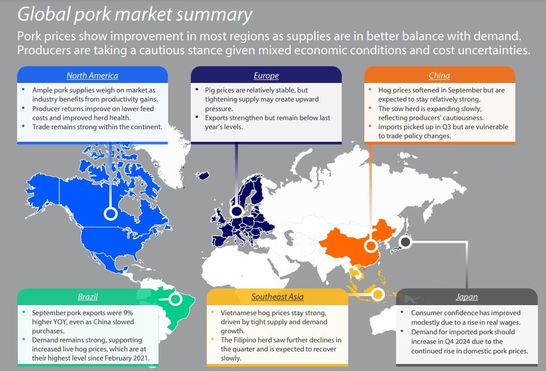 global-pork-market-summary-oct-2024-Rabobank.jpg