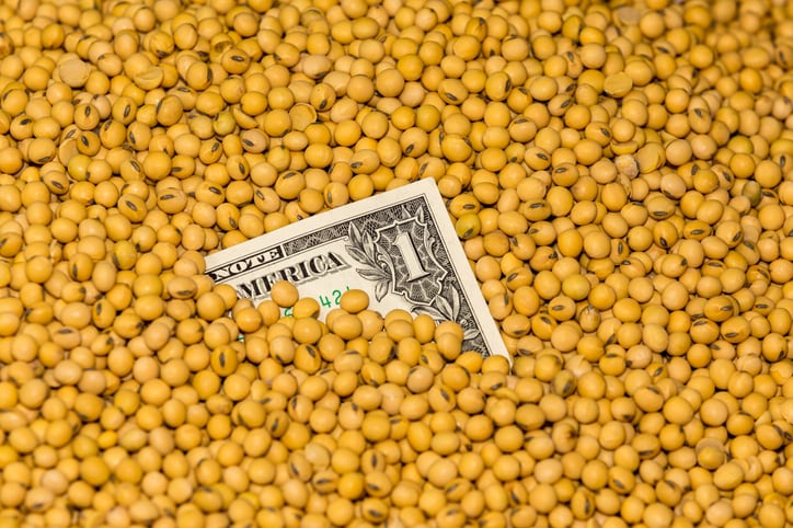 Organic soybean meal from India faces anti-dumping claims in US