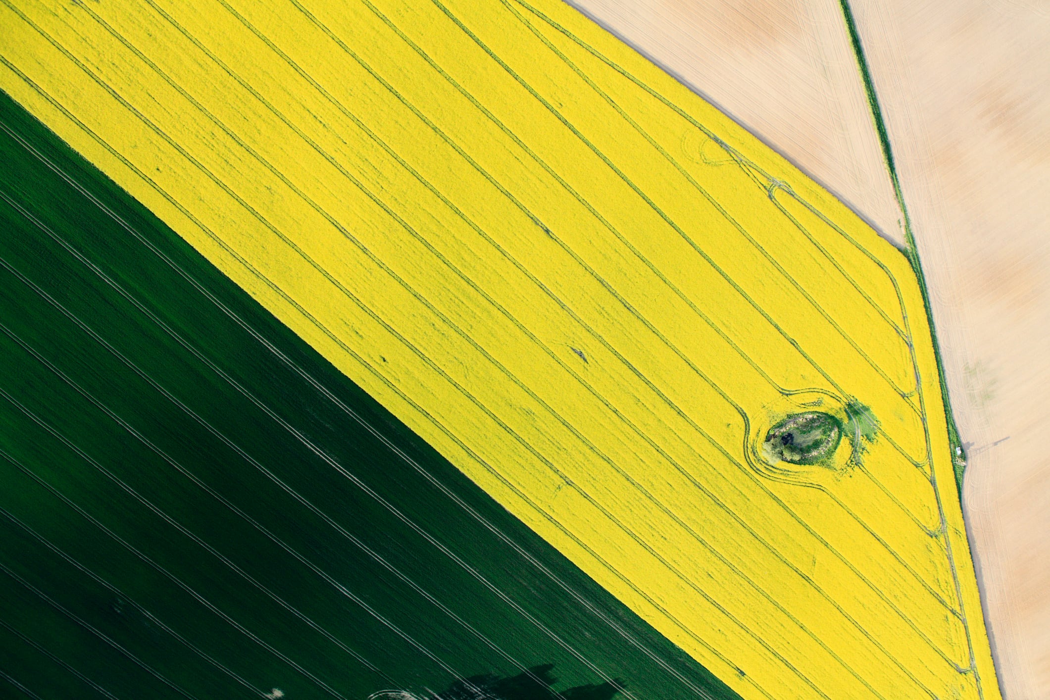 Poland’s flagship regenerative agriculture project hopes to set a blueprint for Europe