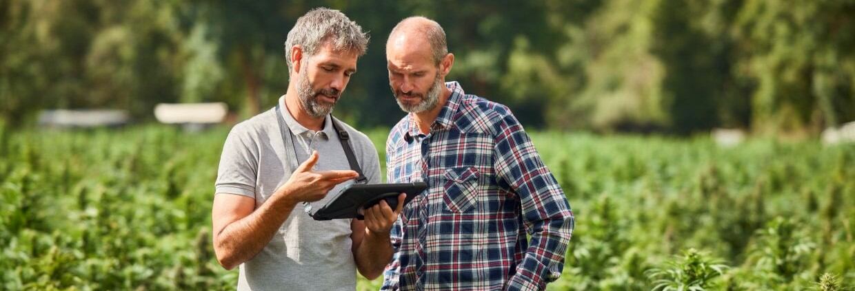 Farmers discussing over digital tablet at farm