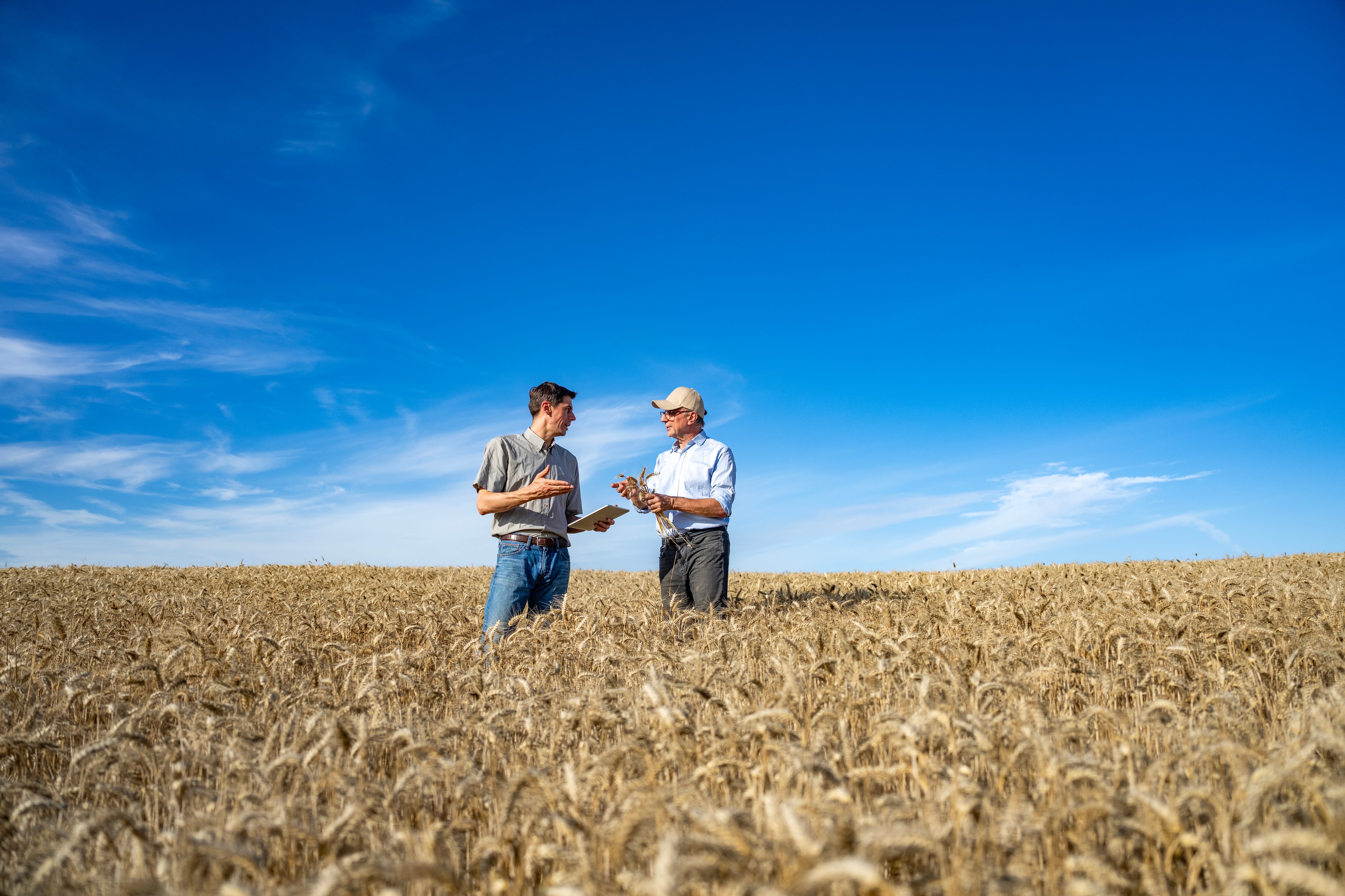 Regen ag: Data puts the economic benefit at $250bn over a decade (but there’s a catch)