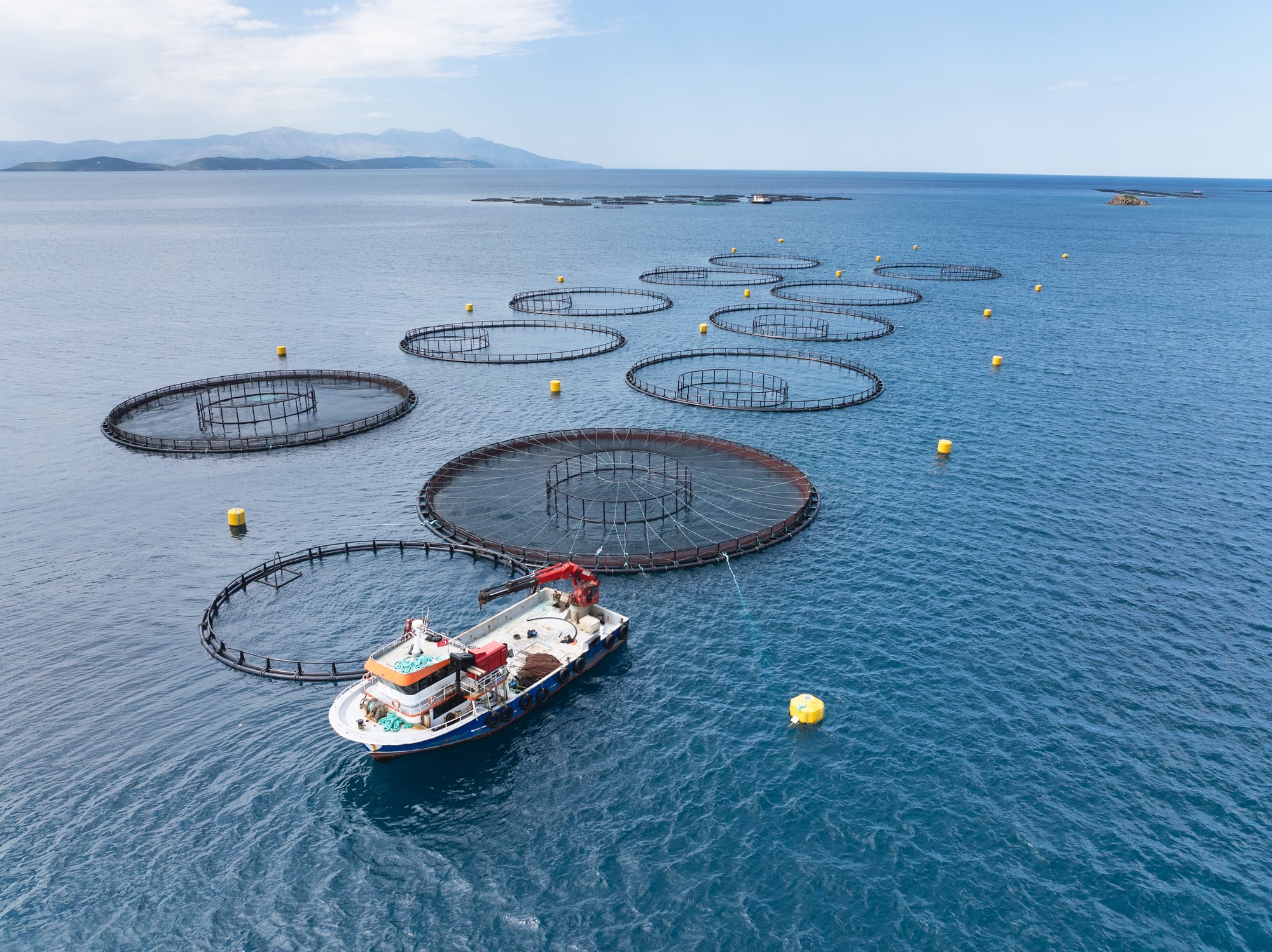 Aerial drone view of fish farming nets in the sea