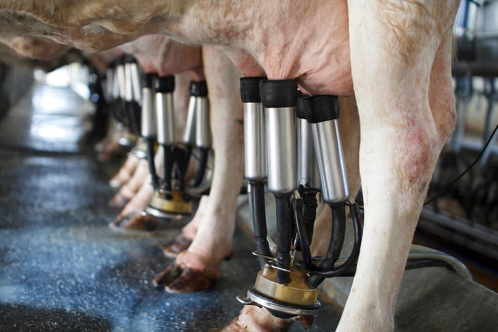 Post-COVID-19-USDA-sees-sluggish-EU-dairy-production-for-2020.jpg
