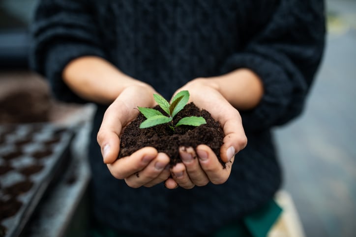 VC firm Big Idea Ventures enters biologicals sector with PlantSustain platform