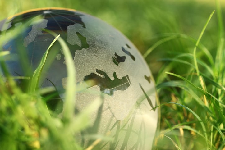 Building a more sustainable cattle supply chain in both Brazil and China
