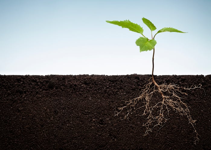 ‘The big deal here is we are doing it without an agronomic practice change’: Cquesta celebrates US$5 million seed funding