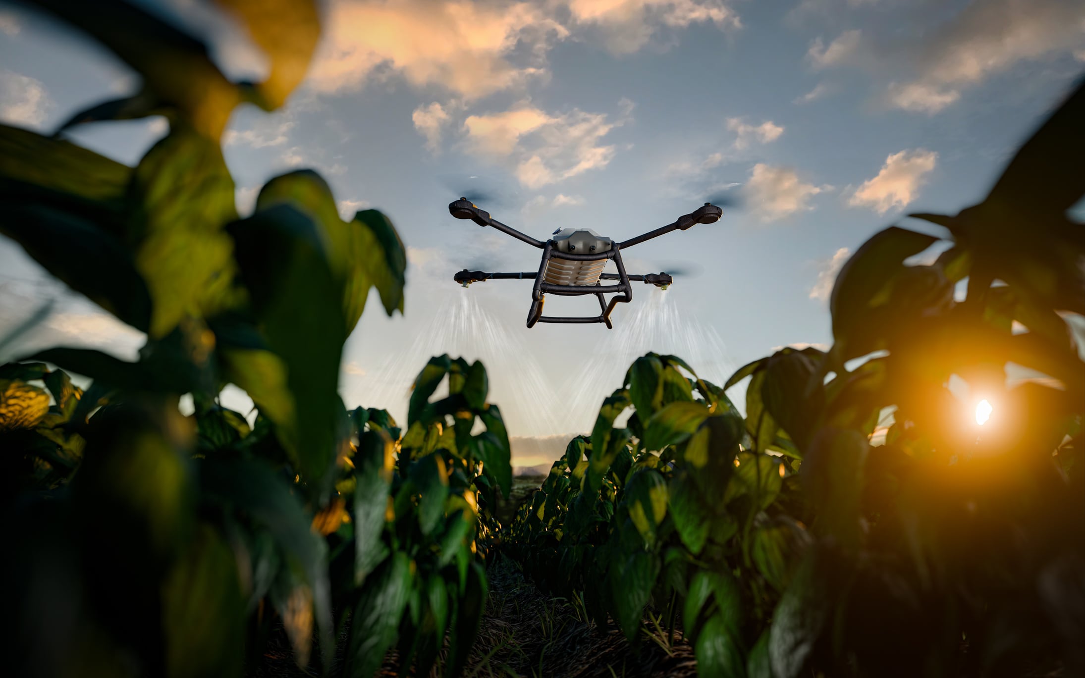 Hungary creates first clear EU pathway for legal drone spraying, SynTech Research says