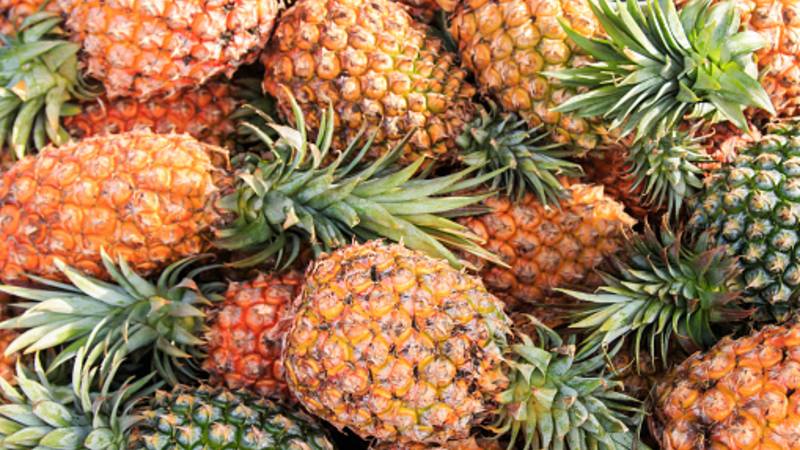 Precision waste reduction: Automation tackles ‘error-prone’ pineapple waxing process 