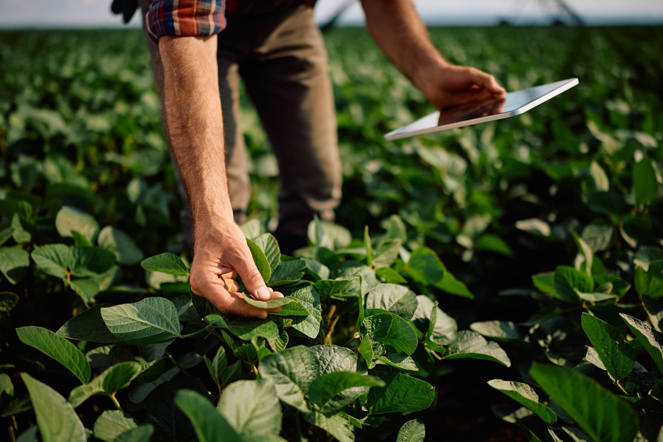 Can new incentives accelerate precision agriculture adoption in the UK?