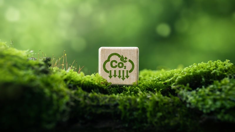 Microsoft doubles down on carbon removal by purchasing 2m tonnes worth of credits