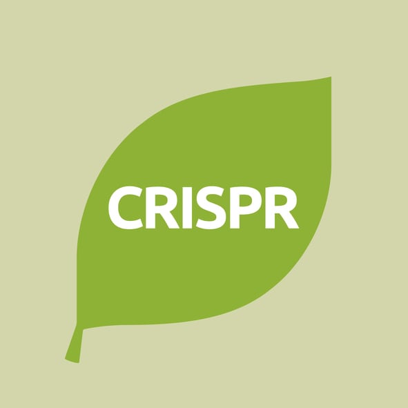 Commission pressed on regulation of new plant breeding techniques