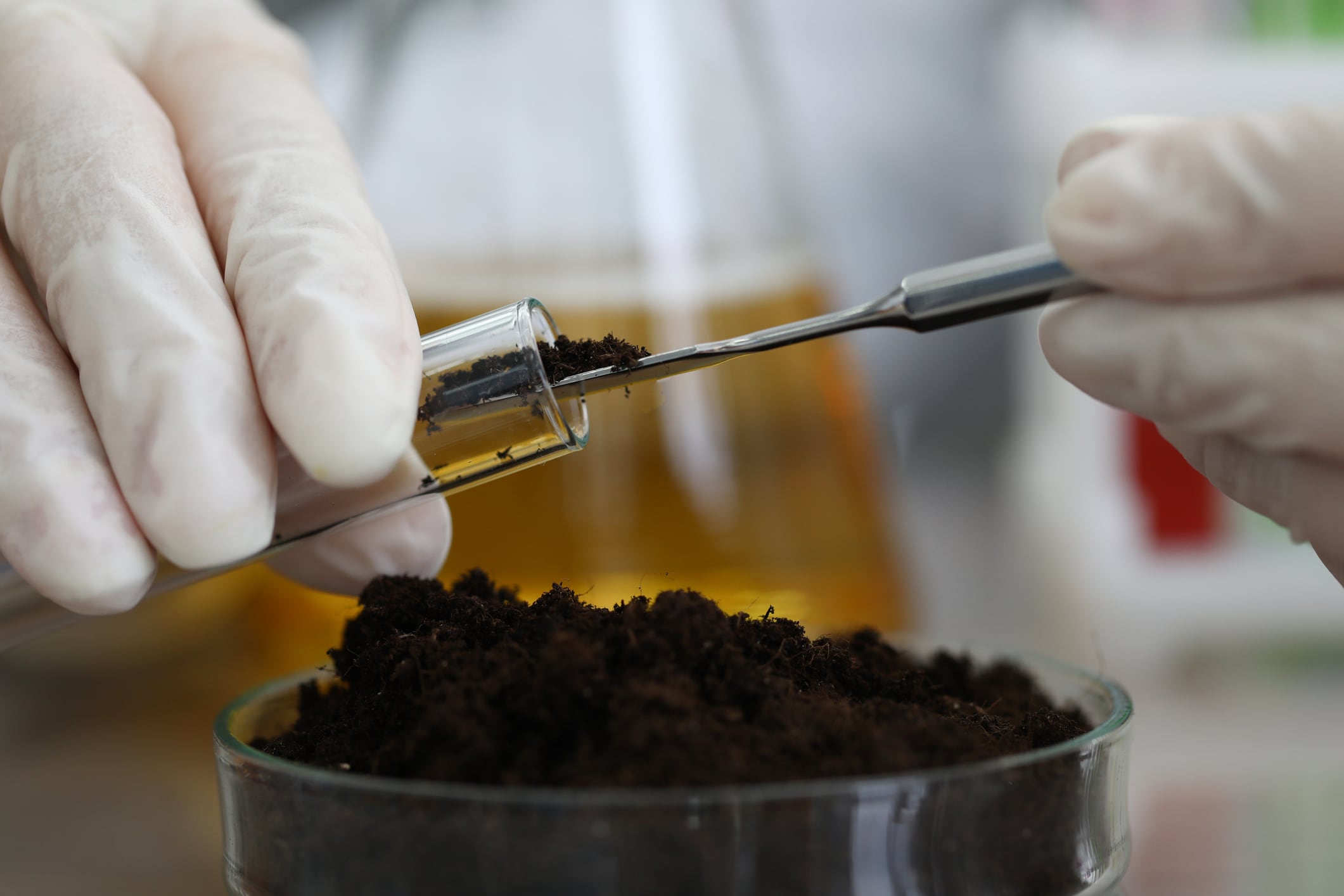 Hamburg-based Soilytix has launched genomic AI models designed to uncover potential crop-protection actives from soil DNA while tackling an emerging industry problem: how to decide which AI-generated candidates are actually worth validating.
