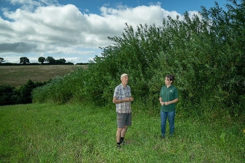 Sainsbury’s embraces agroforestry to cut carbon emissions