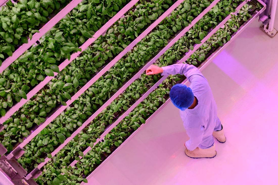 South Korea eyes Middle East as key market for agtech exports