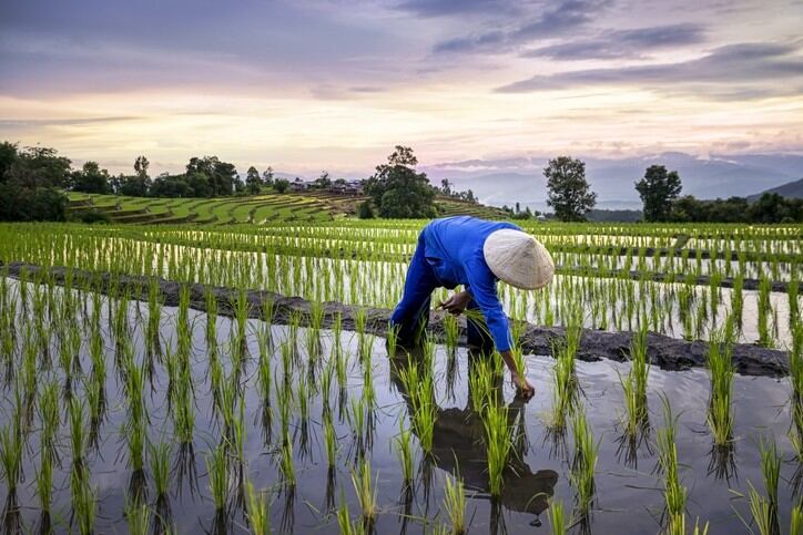 Avoiding short term shocks: New research assesses how to tackle China’s nutrient deficiencies and food waste