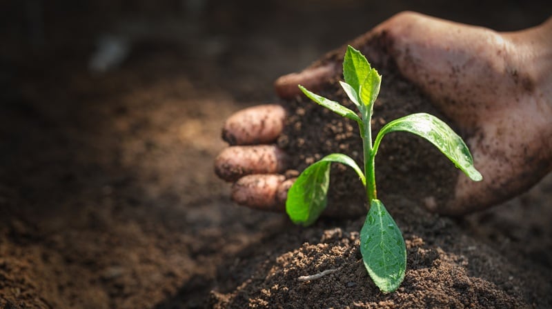 The hidden costs of soil degradation: Syngenta webinar explores investing in resiliency