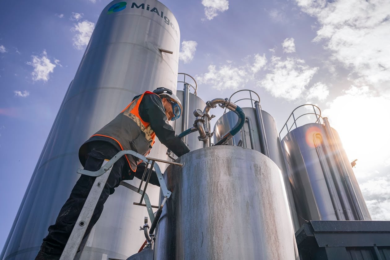 International expansion is key part of MiAlgae’s growth strategy