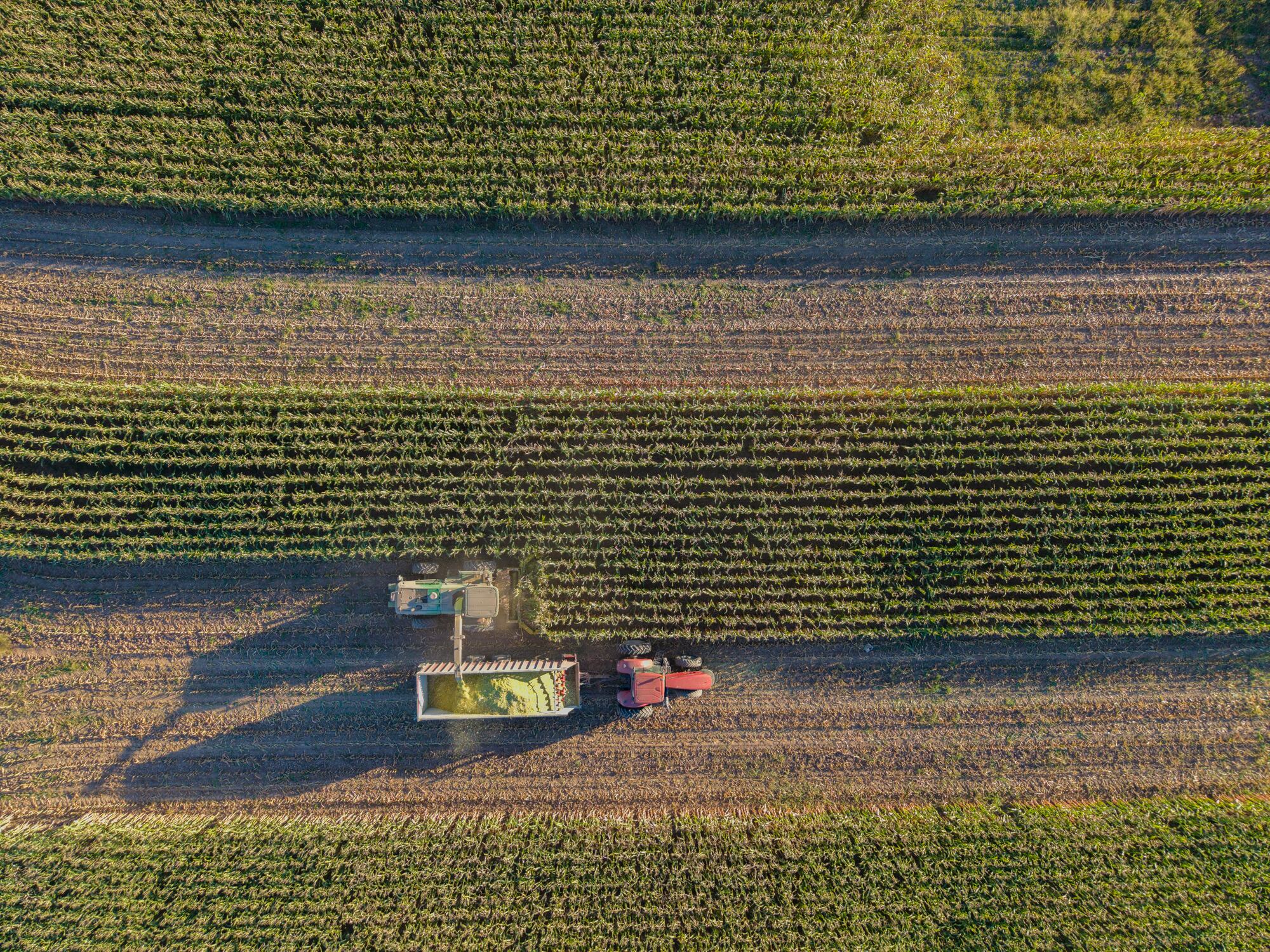 Corteva’s corn pipeline reveals the logic behind the Vylor split.