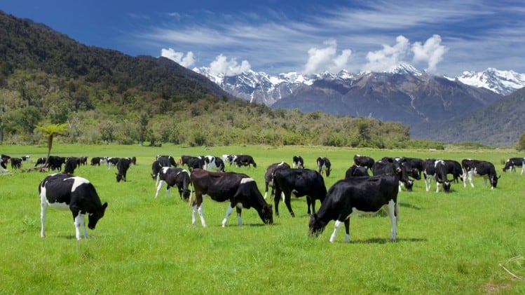 Agtech in NZ: Labour’s ambitious plan for sector in turmoil after election defeat