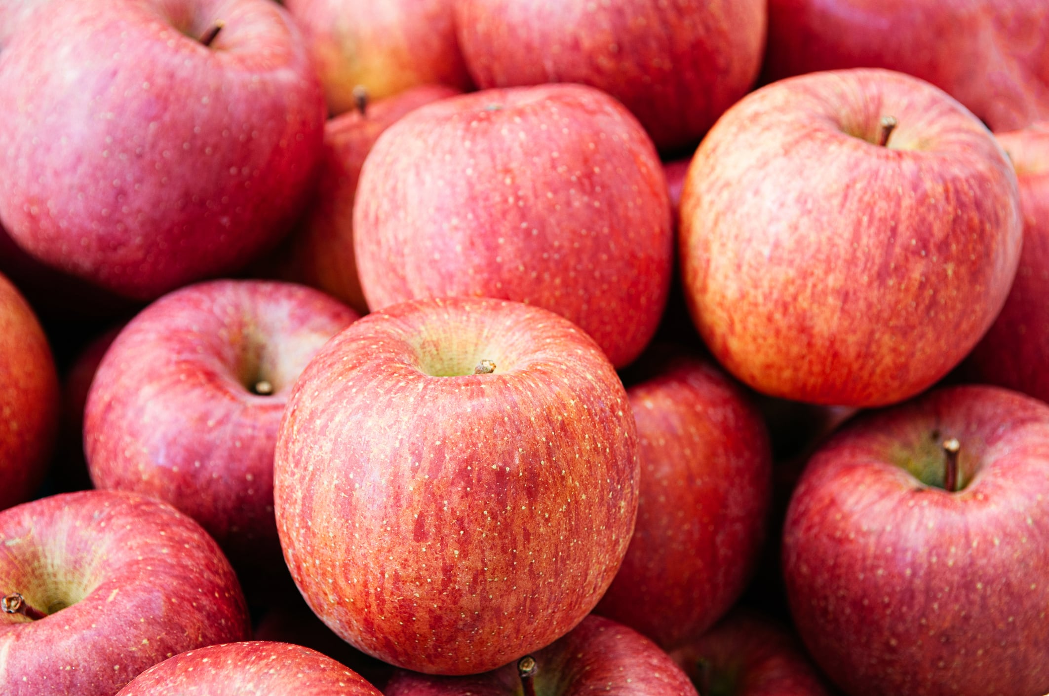 Securing the future: Nihon Agri raises over U$8m to overhaul value chain, accelerate expansion