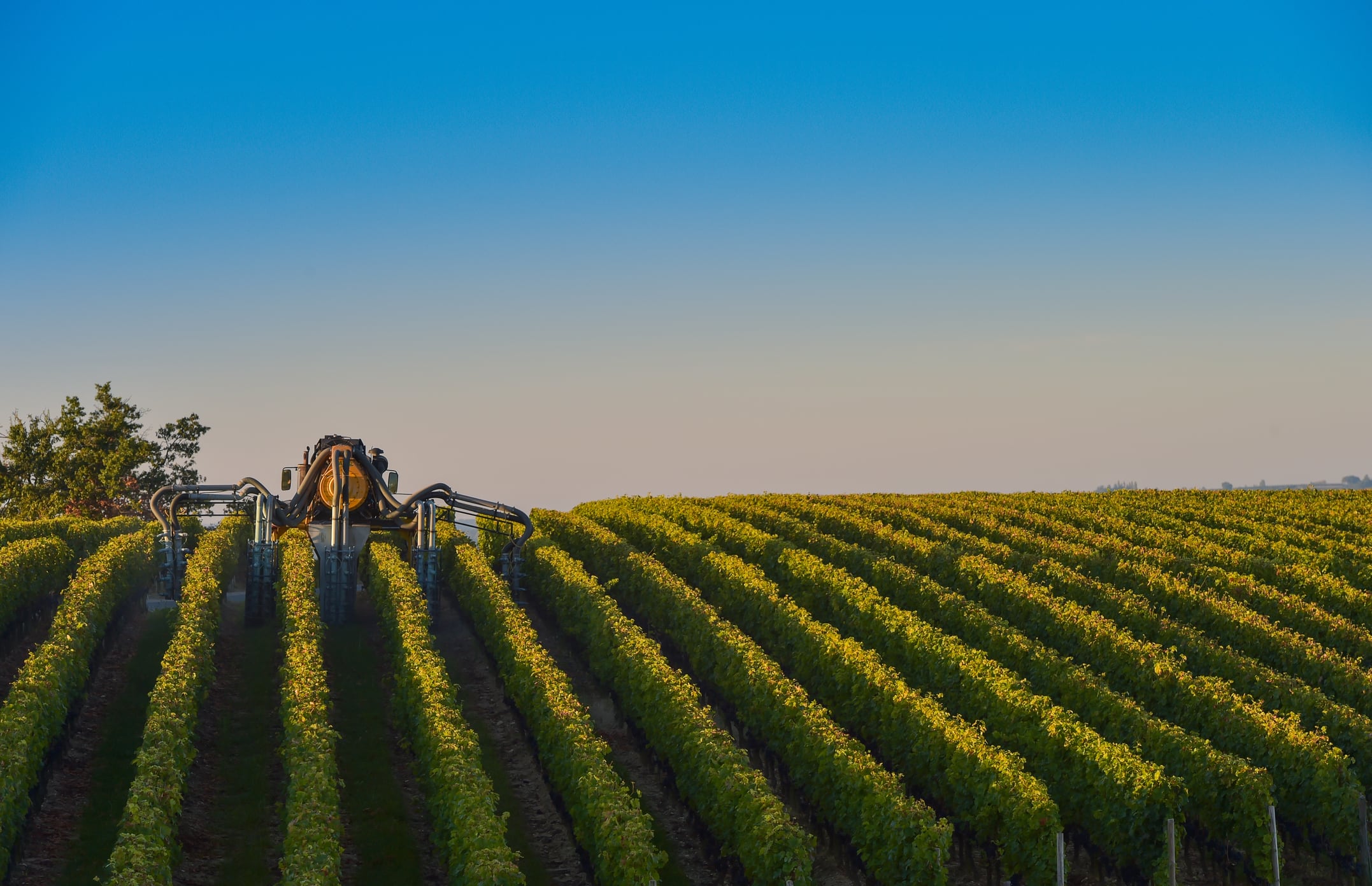 Duplomb Law controversy in France ‘illustrates lack of awareness’ of bioinsecticides