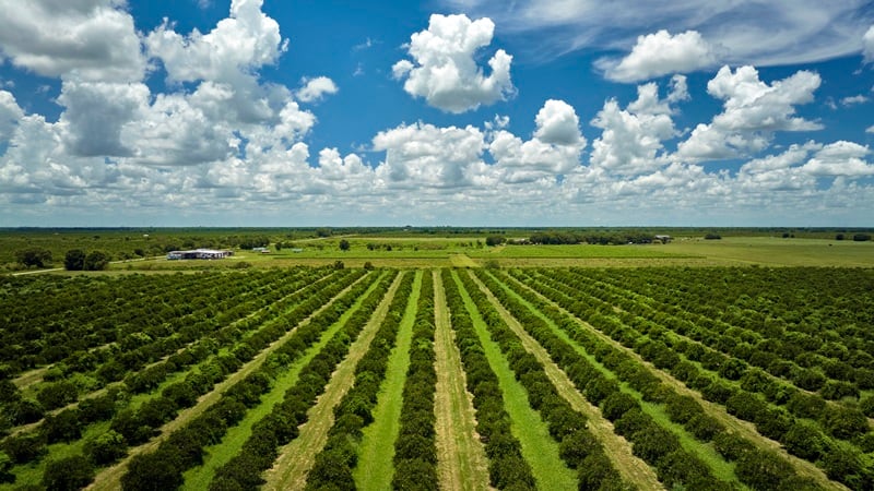 Support for specialty crop growers: USDA to provide over $275m in grant funding