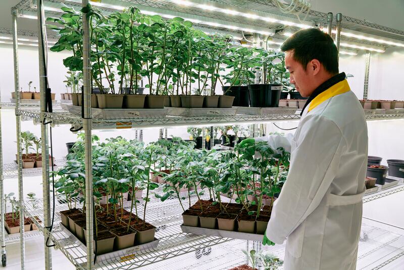 Biotalys’ raise reflects a broader shift in capital allocation across the agri-input sector, where regulatory pressure, sustainability targets and evolving market demands are reshaping crop protection strategies