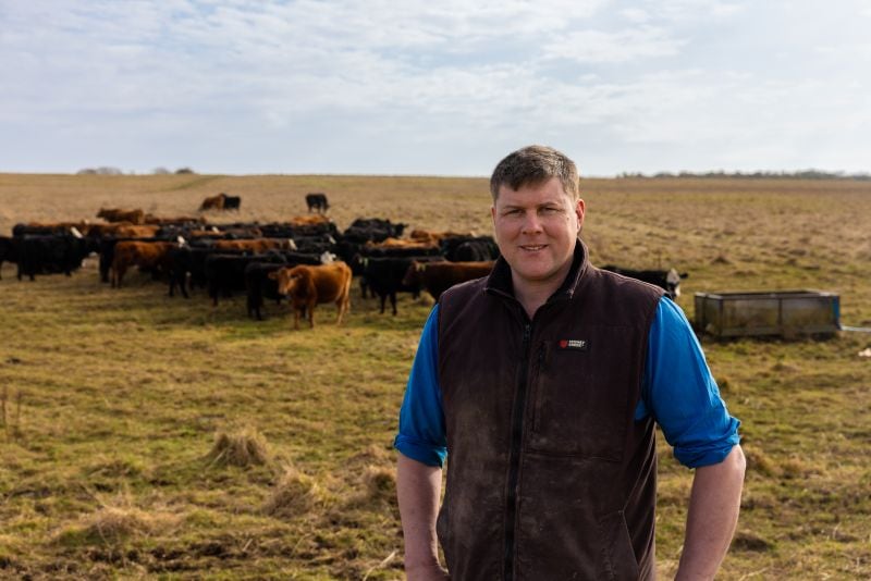 Nofence bets on precision livestock management with launch of N3 cattle collar