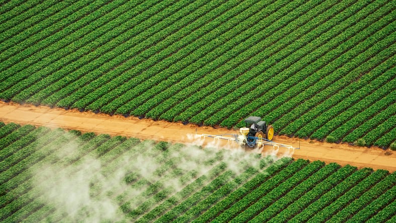 Study says organic inputs can boost rice yield and cut nitrogen losses
