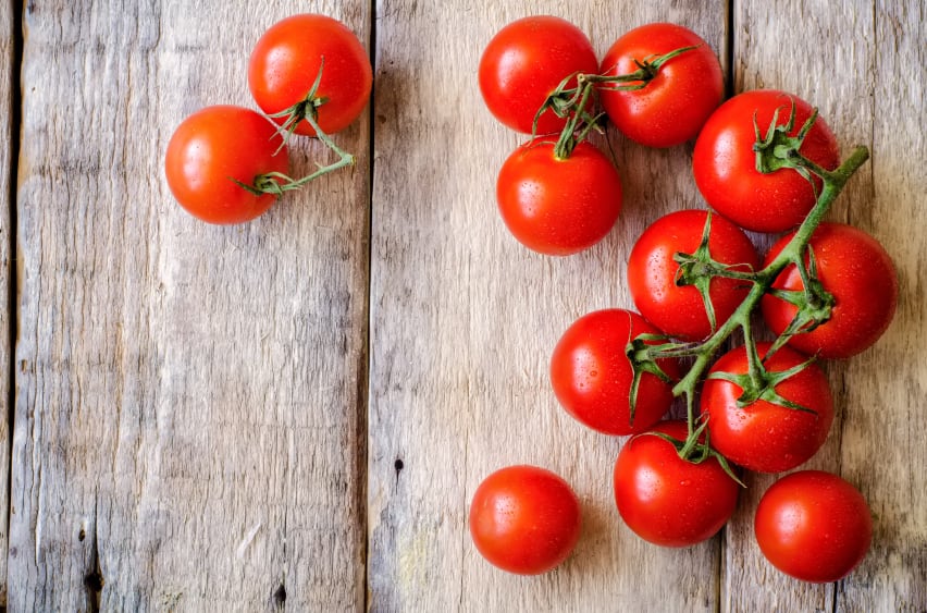 Triple threat: WorldVeg debuts tomatoes that are insect resilient and attractive to buyers
