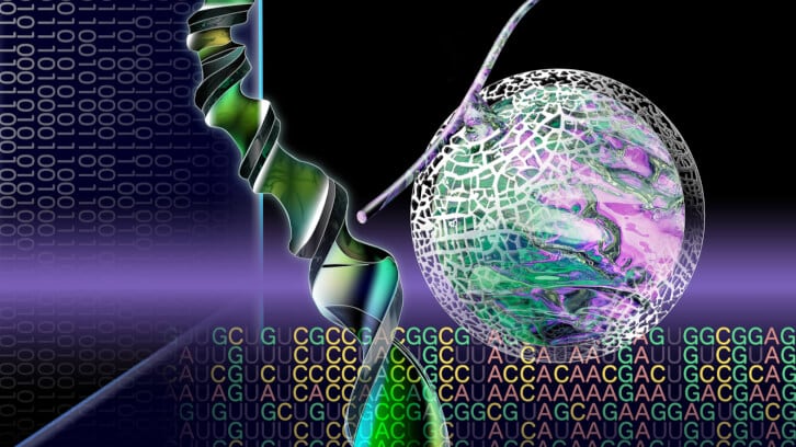 Crop ‘revolution’: Could CRISPR-Cas9 system be game-changer for crop enhancement, food security?