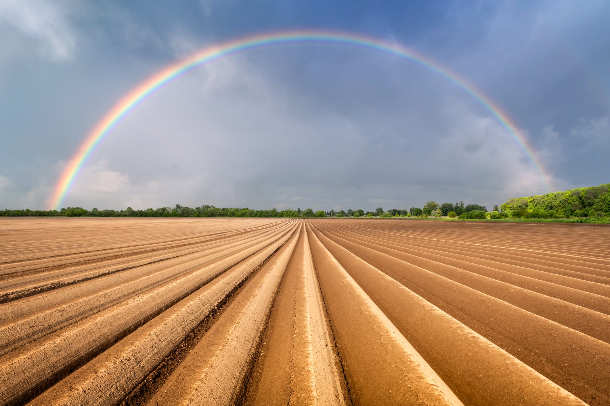 Why agtech start-ups failed last year – and a playbook for 2026
